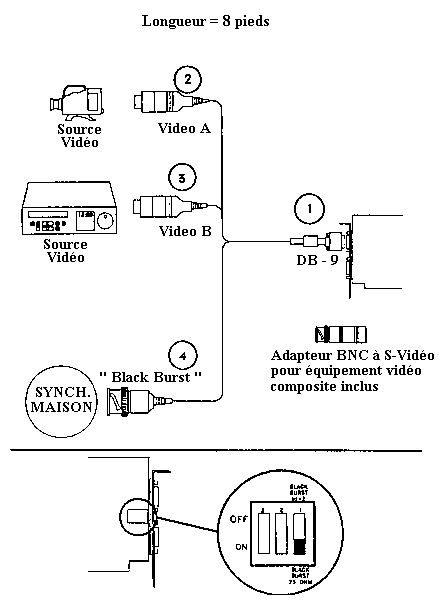 Dessin du Câble d'entrée vidéo de Photo+