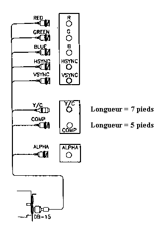 Dessin du Câble de sortie vidéo de Photo+